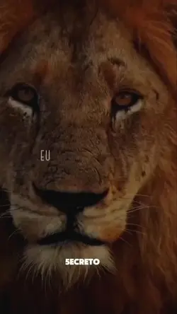 Deus falou