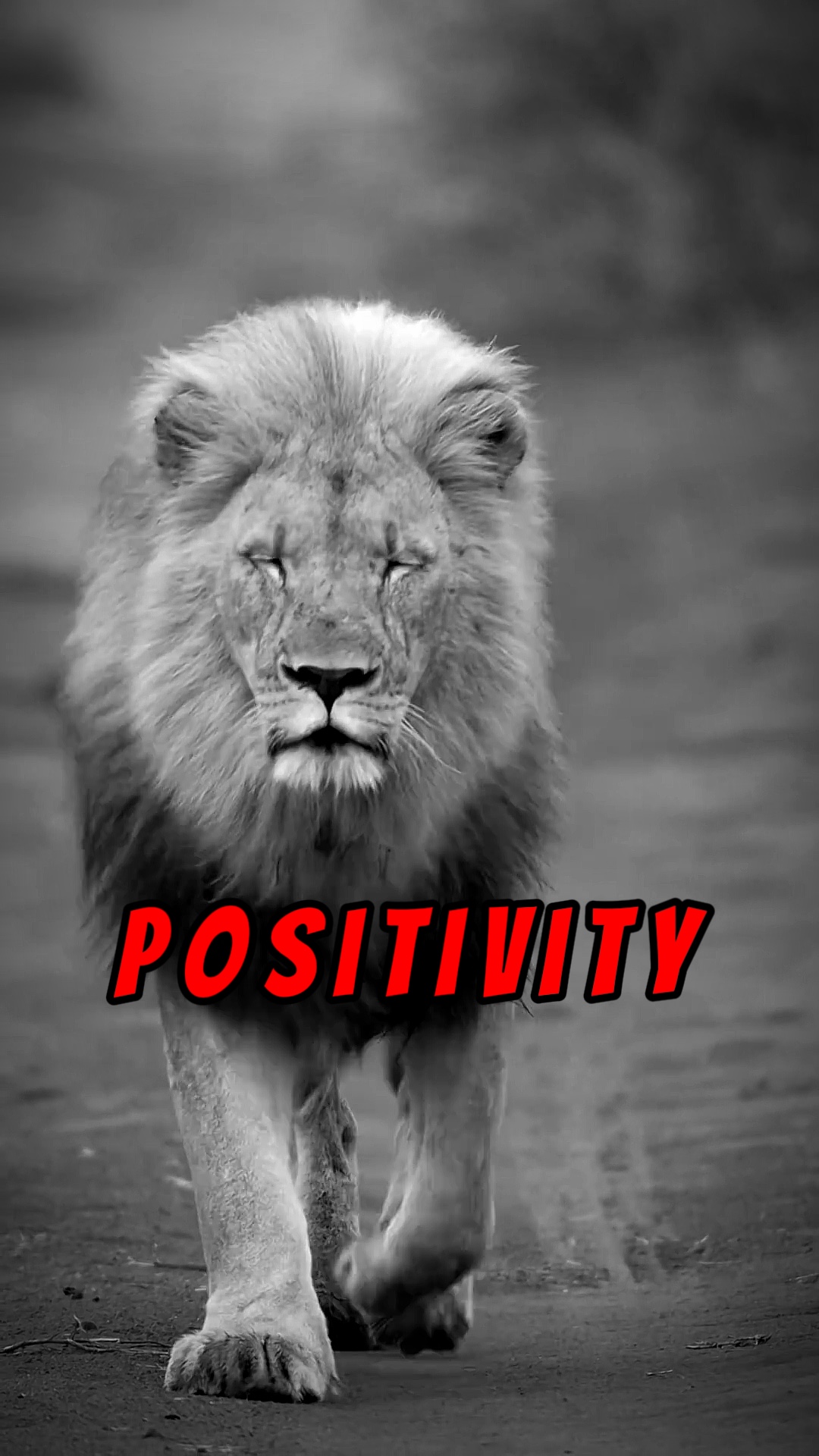Positiv vibes 