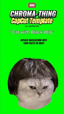 cat with black wig