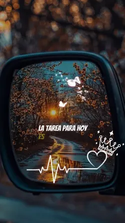 Frases y y Reflexion