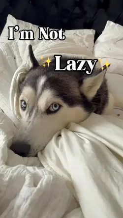 I’m not lazy🥹
