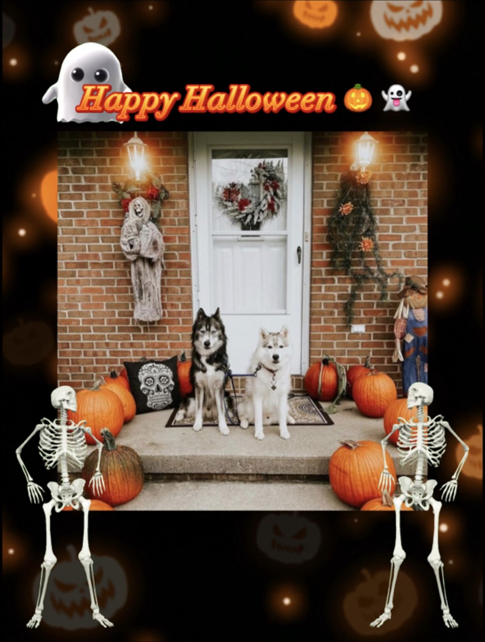 Happy Halloween 🎃 