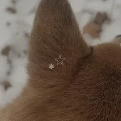 Army Dreamers ❤️