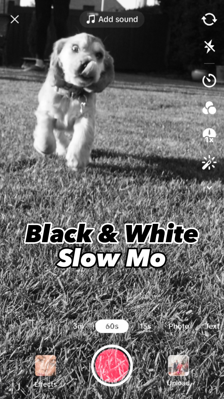 B / W Slow Mo
