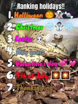 Ranking holidays❗️❗️