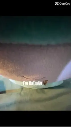 fØř ĞöŤĦãM¡!!¡