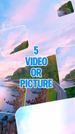 5 video or picture