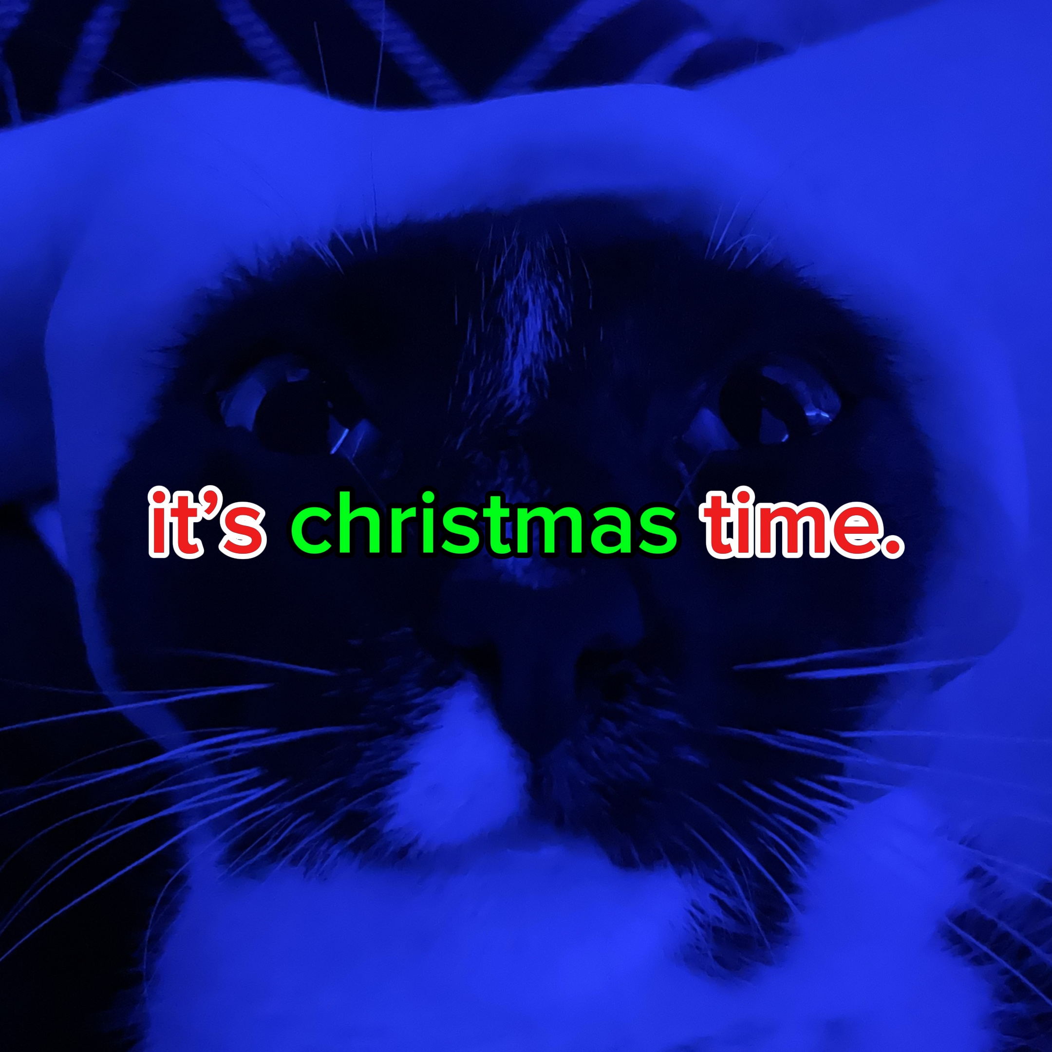 ITS TIIIIMMEEEEEEEEE