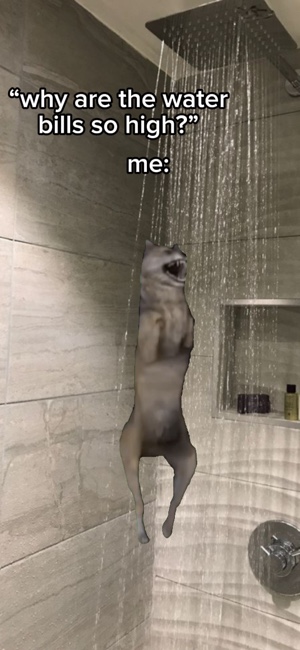 Wolf dancing!!