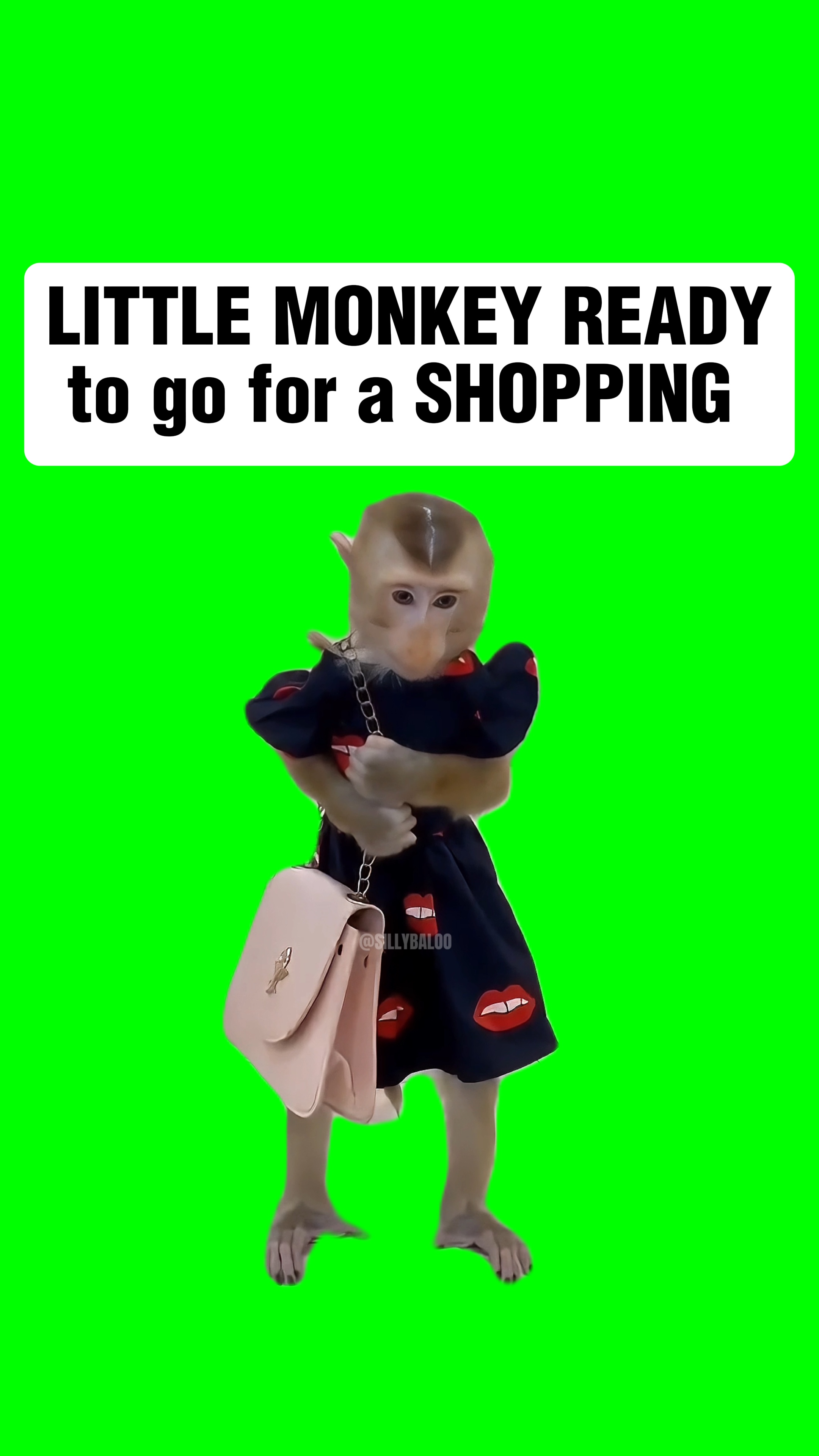 READY TO GO SHOPPING