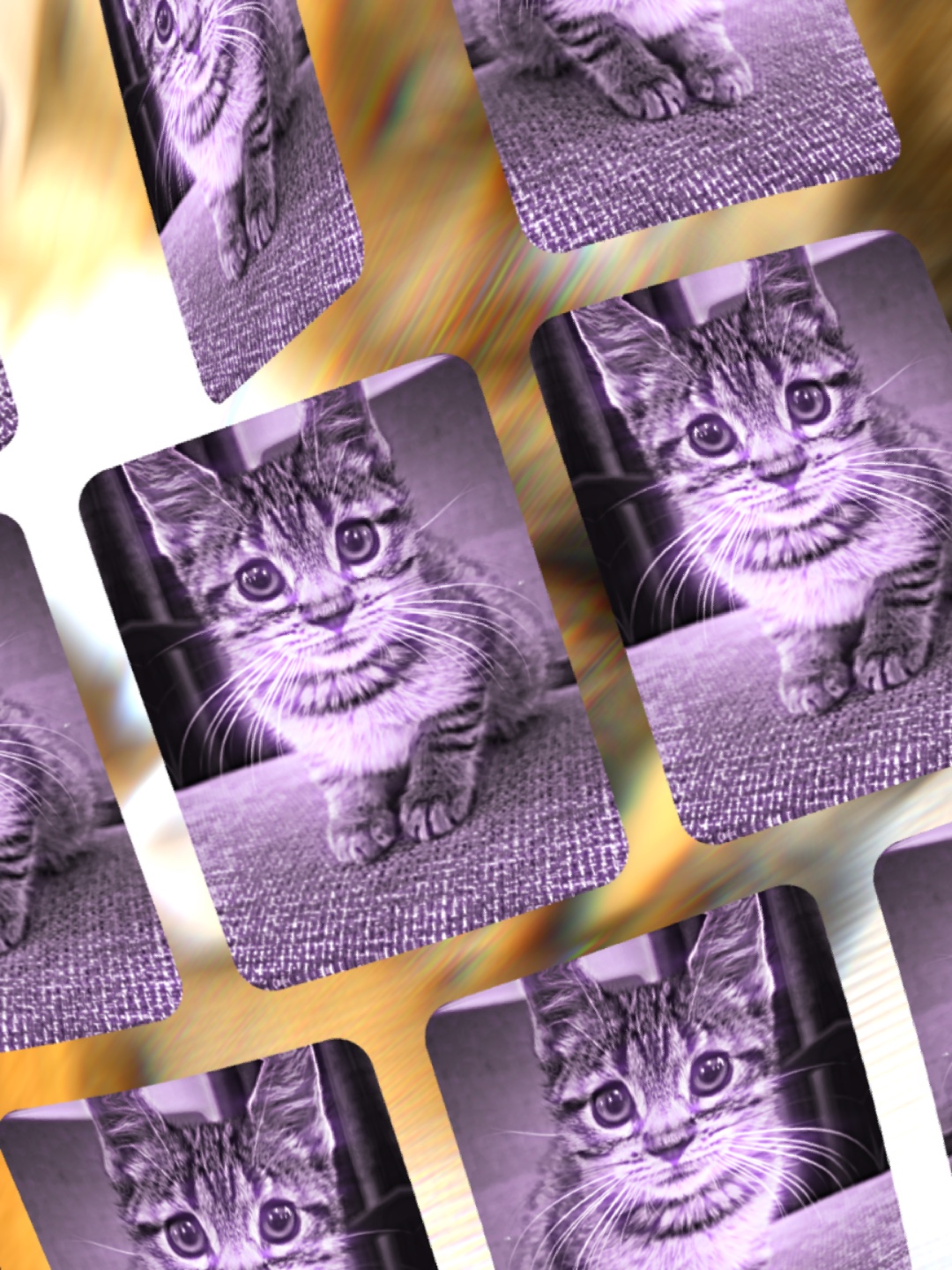Edição De Gato