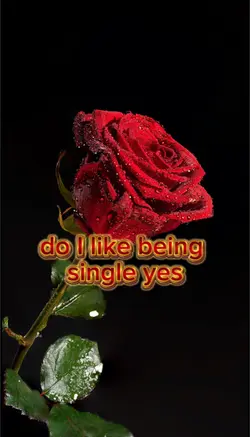 are you single? Y/N