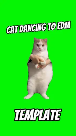 Cat Dancing to EDM
