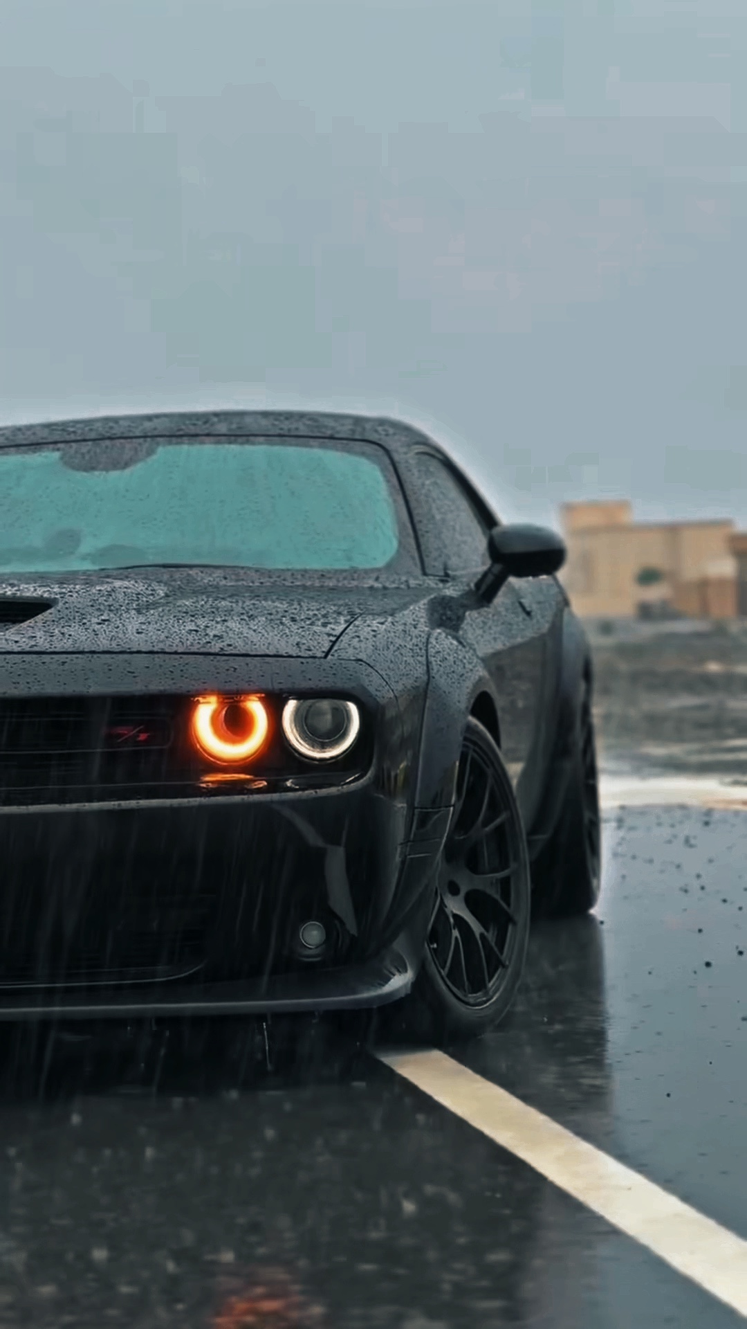 5 ★>> <<COCHE