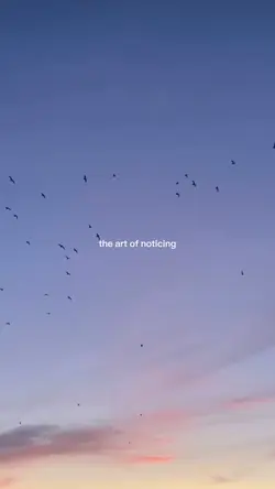 the art of noticing