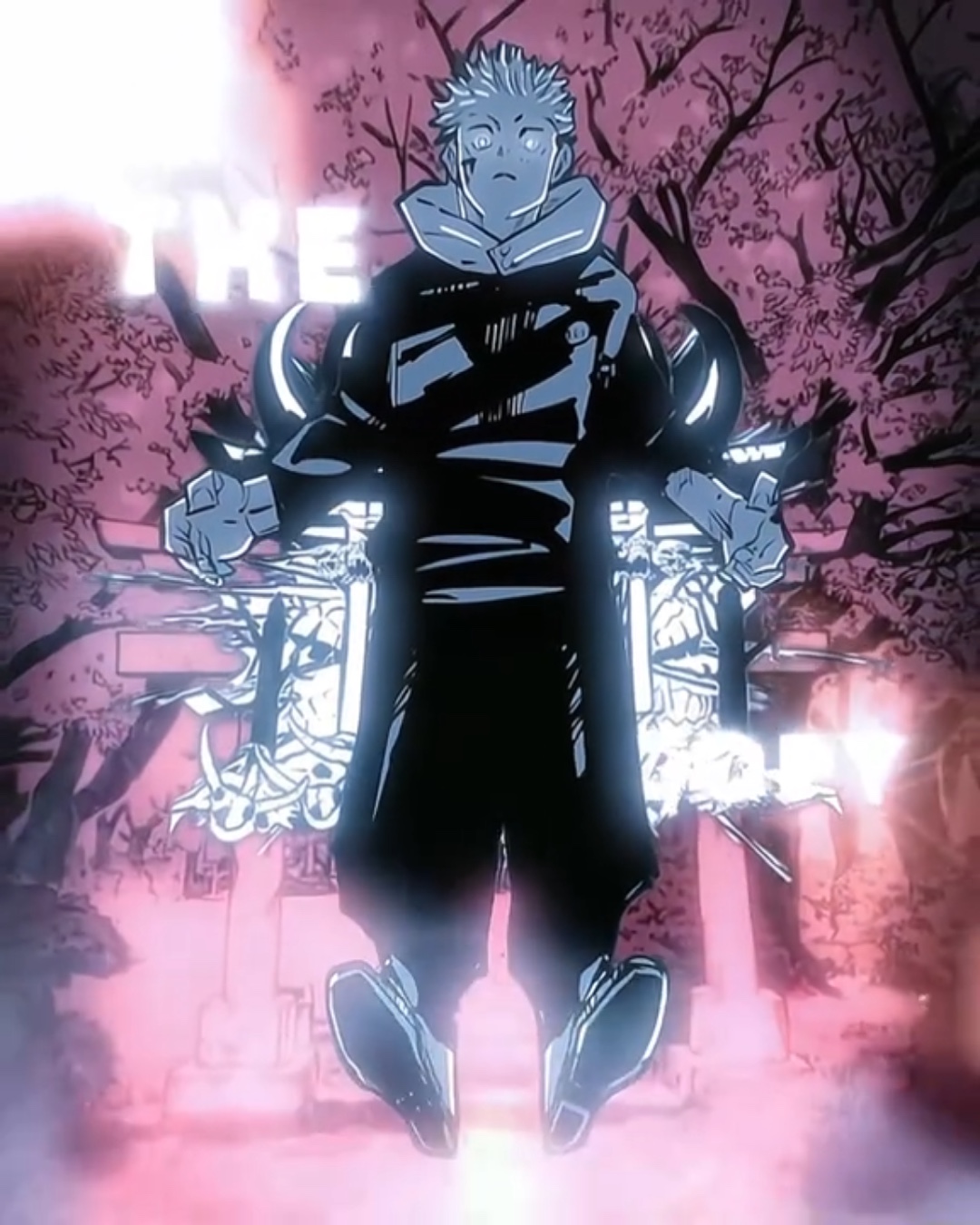 Cover Picture