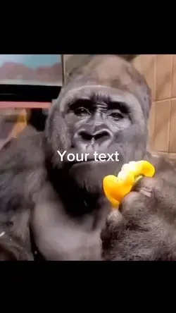 Monkey eating pepper