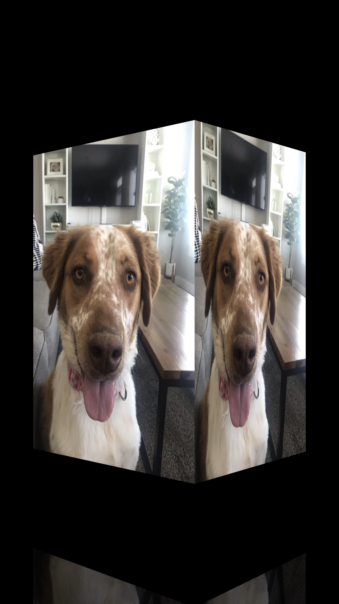 Fire transition🥶😨😈