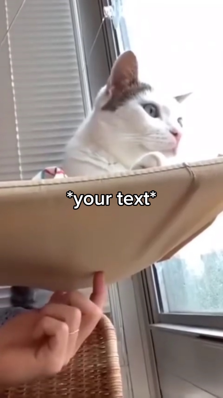 Meme queda de gato