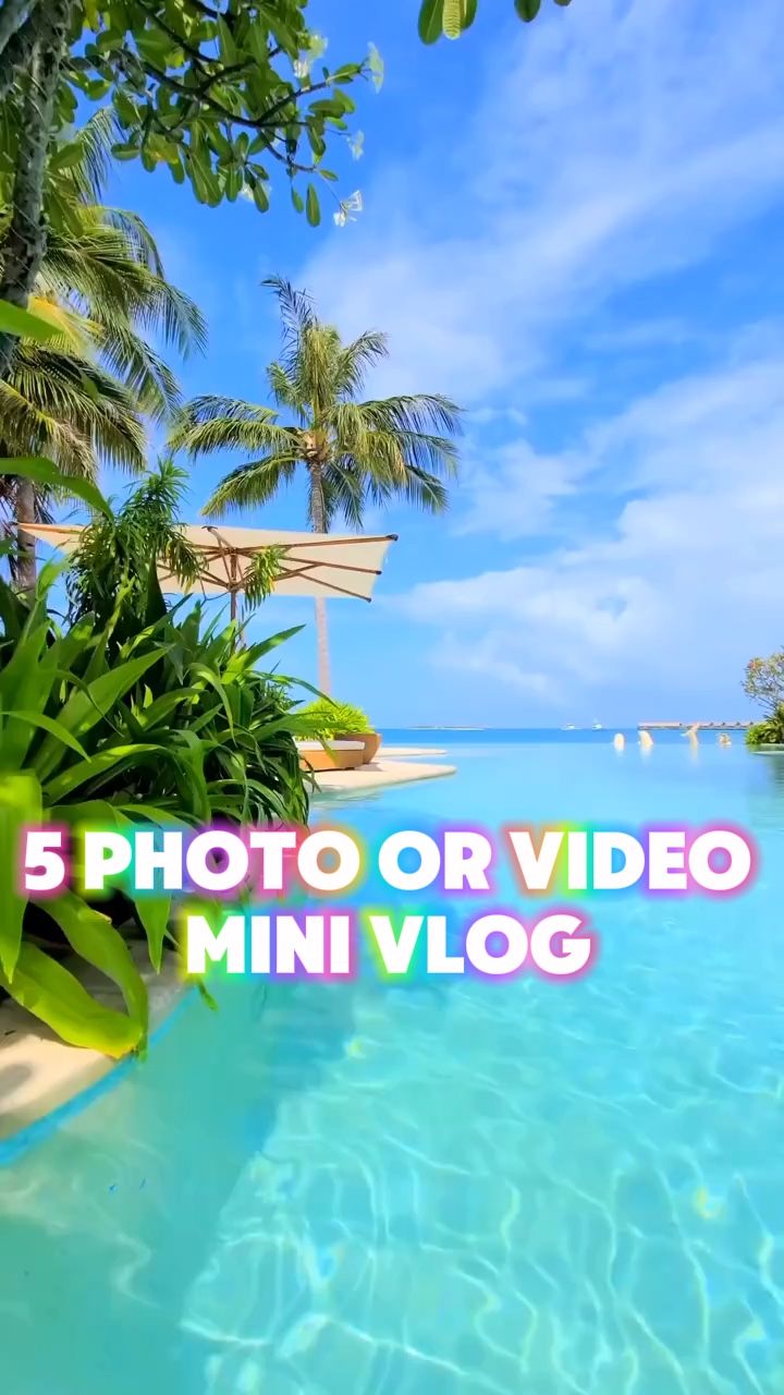 5 clips or photos