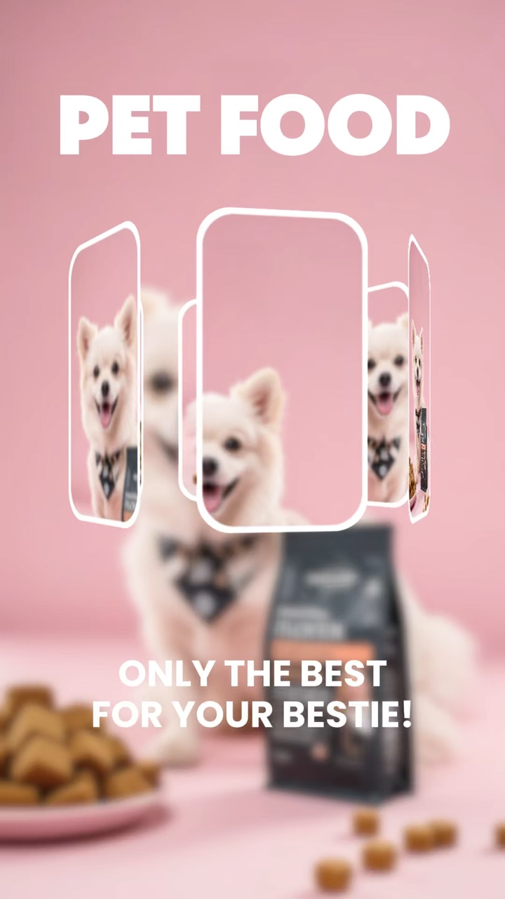 Oynak renk Evcil Hayvan yemi Satış Evcil hayvan endüstrisi Görüntülü Reklam şablonları Minimalist stil