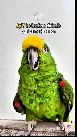 Les gusta vivir N el