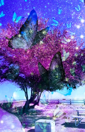 Cover Picture