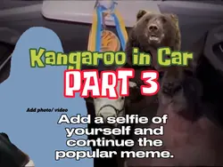 Kangaroo Car Part 3