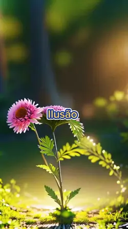 Ilusão 