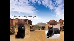this town 