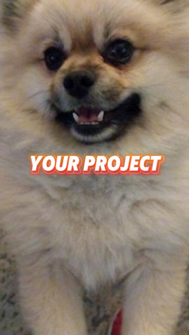 Mi perro Polaroid 