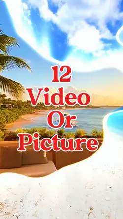 12 video or picture 