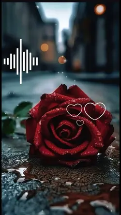 Los Temerarios ♥️🌹