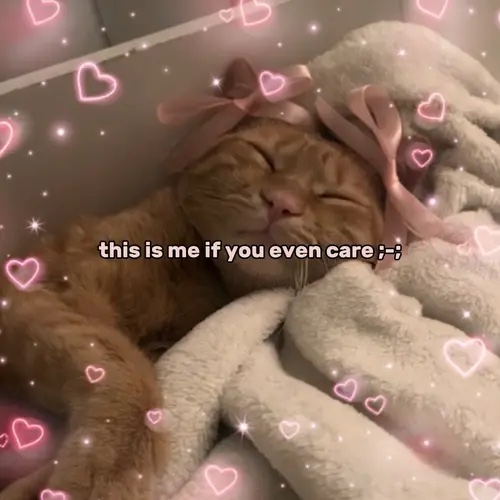 Eu se você se importa; -;