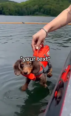 Doggy paddle