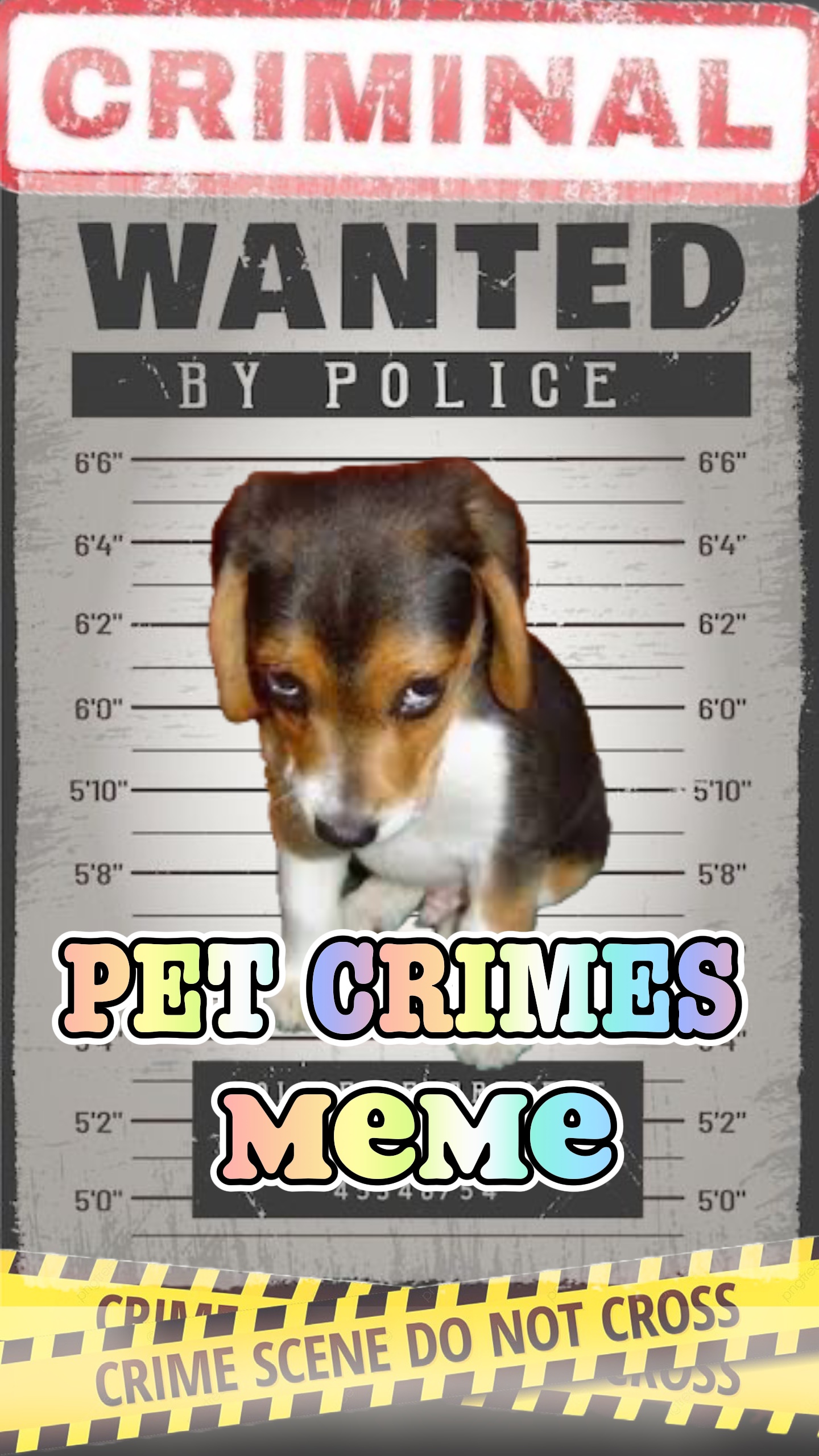 Meme de crímenes de mascotas 