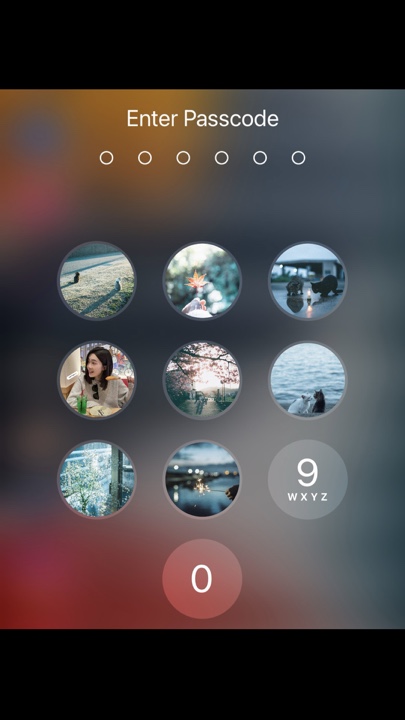 Cover Picture