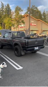 Brain rot car dealer