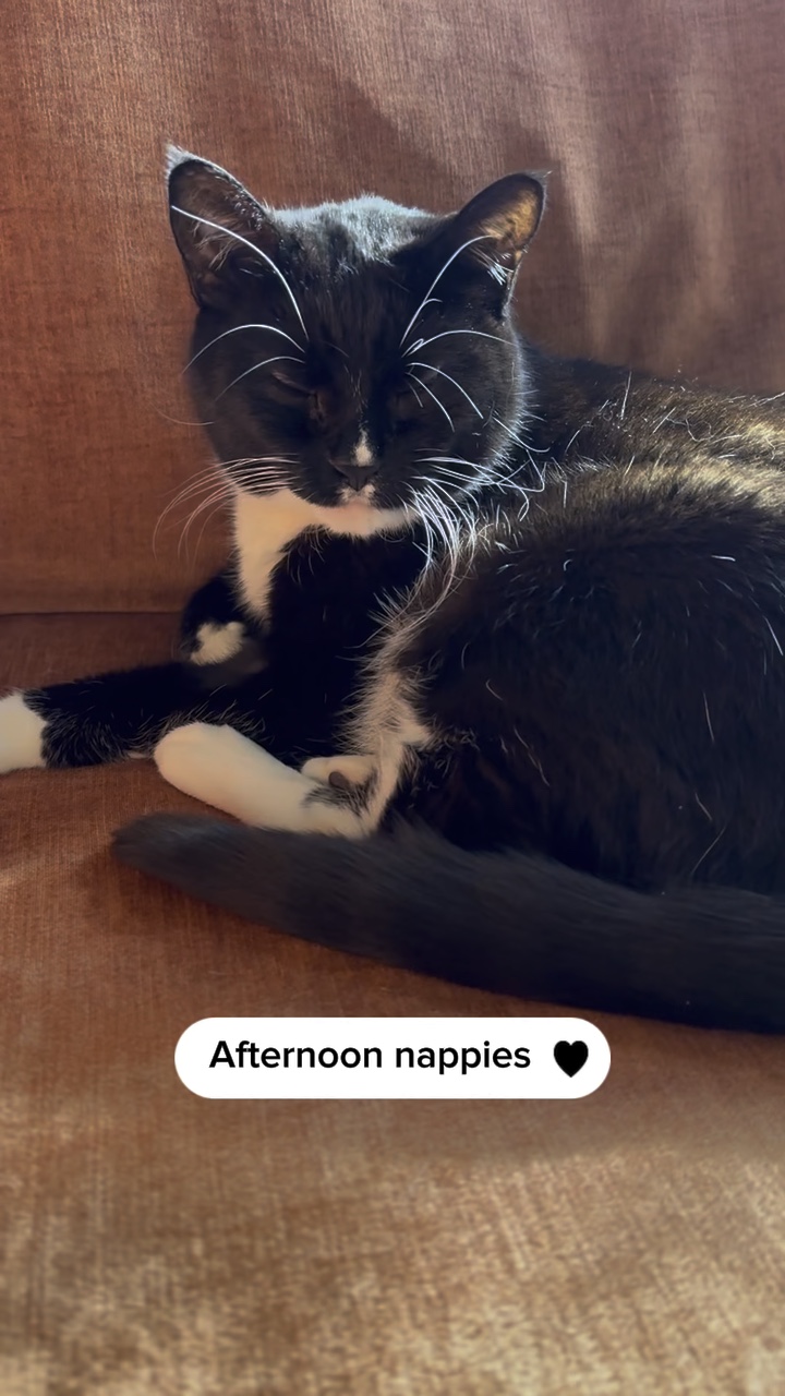 Afternoon nap