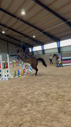 Jingle bellโผ๏ธ