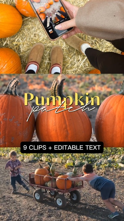 Kürbisfleck 🎃✨