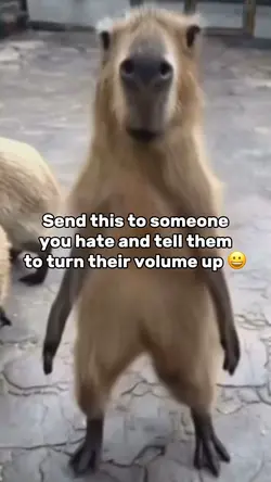 Turn Volume Up