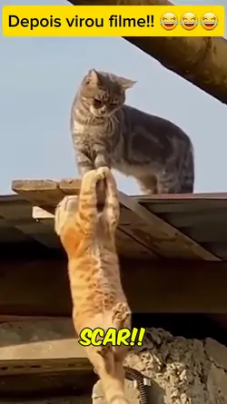 Rei Leão verdadeiro