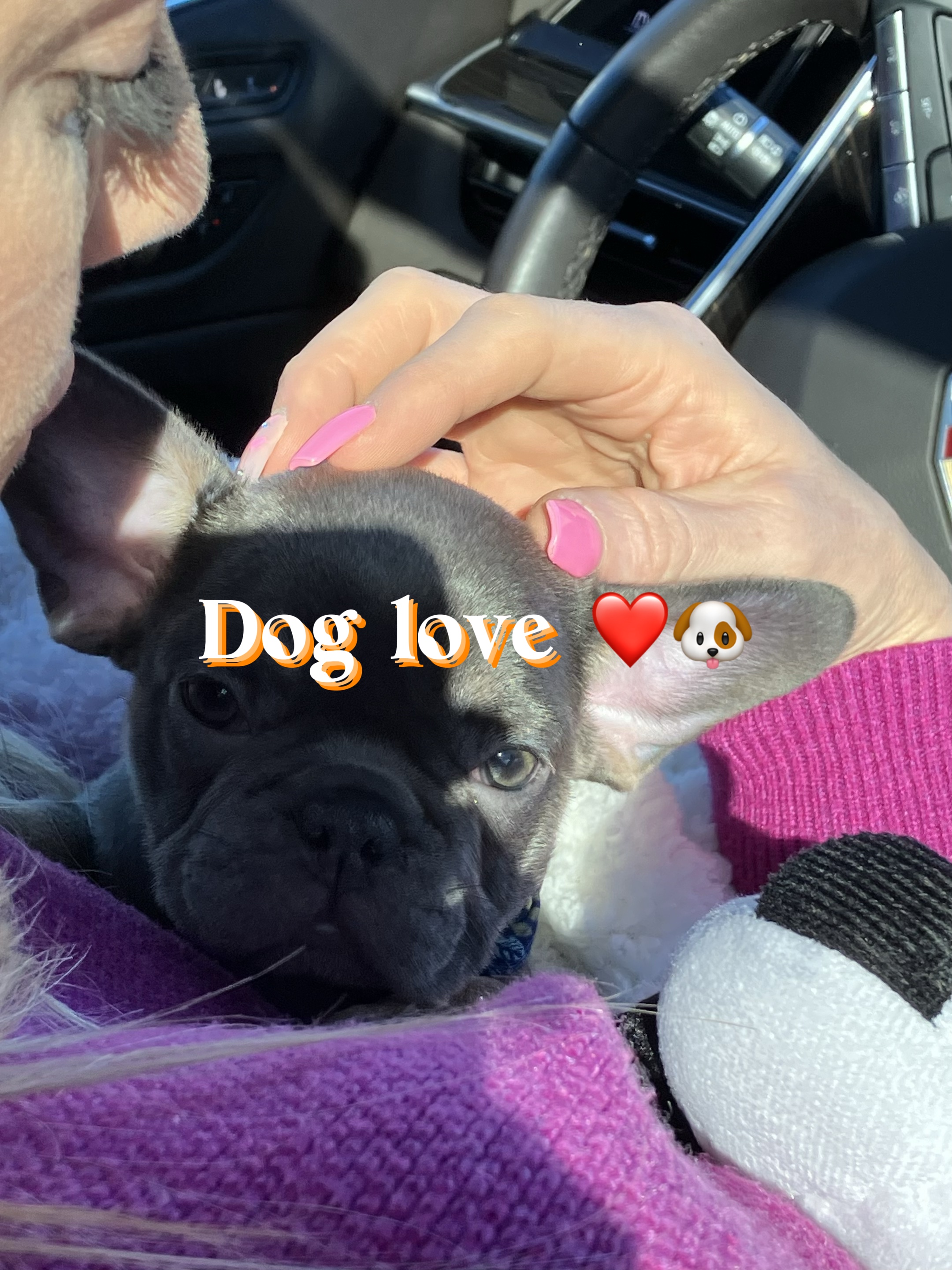 Hundeliebe❤️🐶