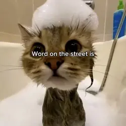 Larry 😸