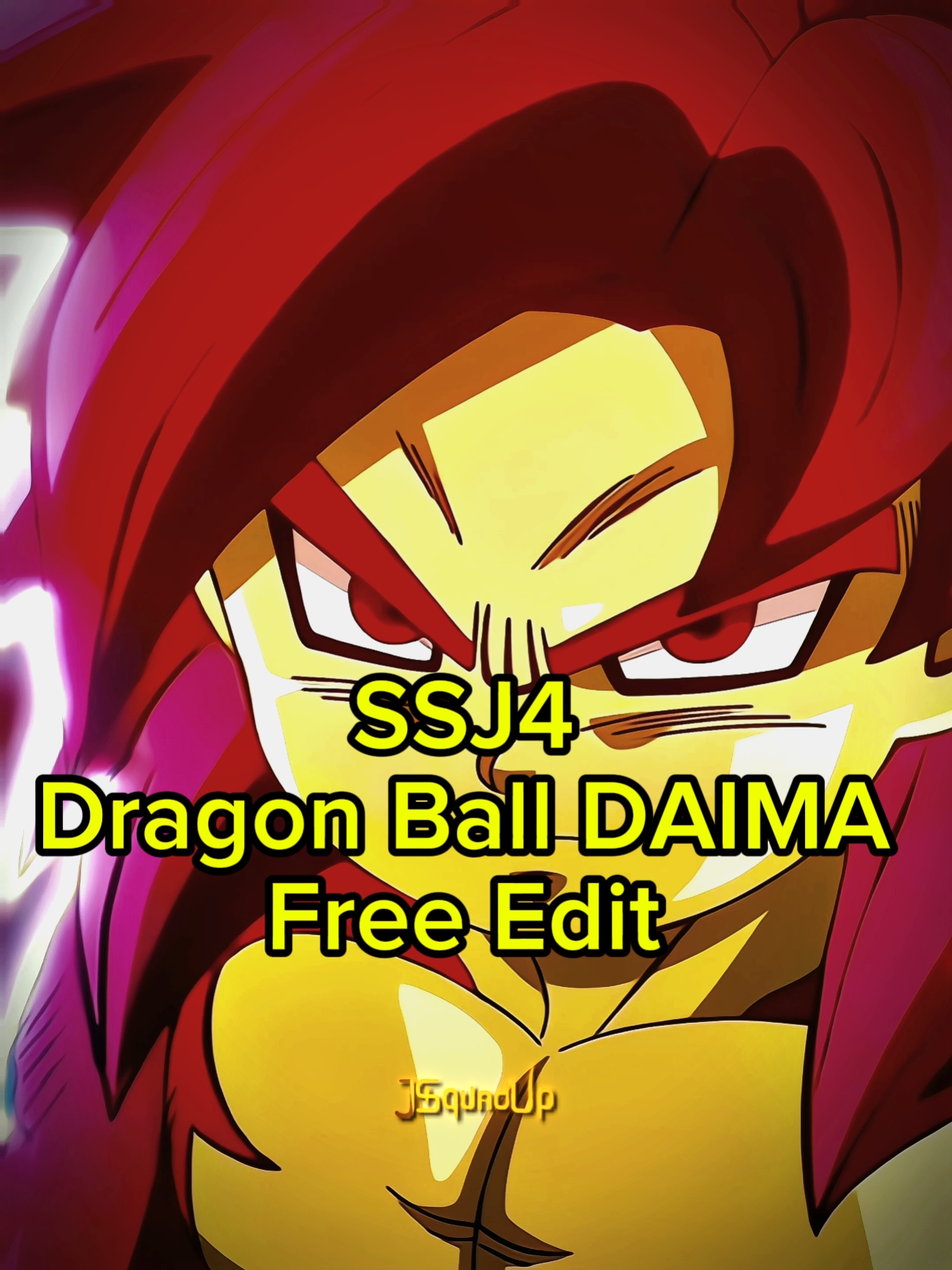 SSJ4 DB DAIMA