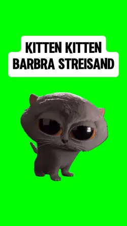 KITTEN KITTEN