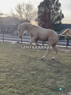 Venus is excited 