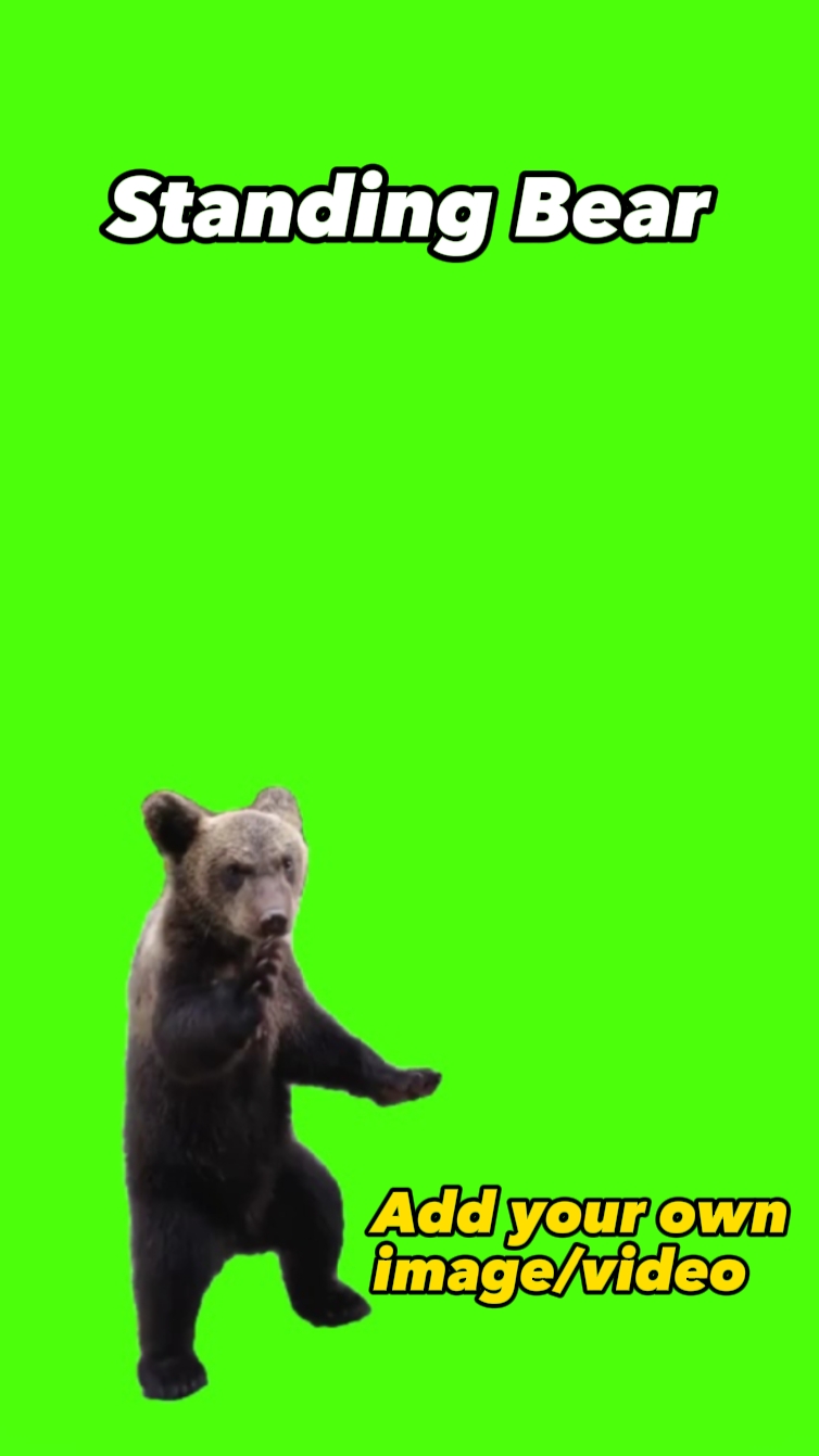 站立熊 