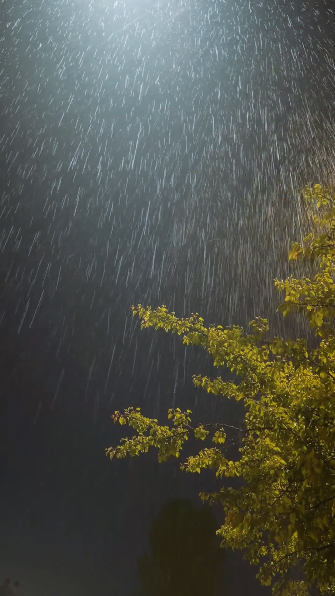 Lluvia con un clic